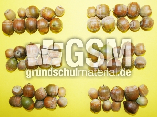 60-Haselnüsse.jpg